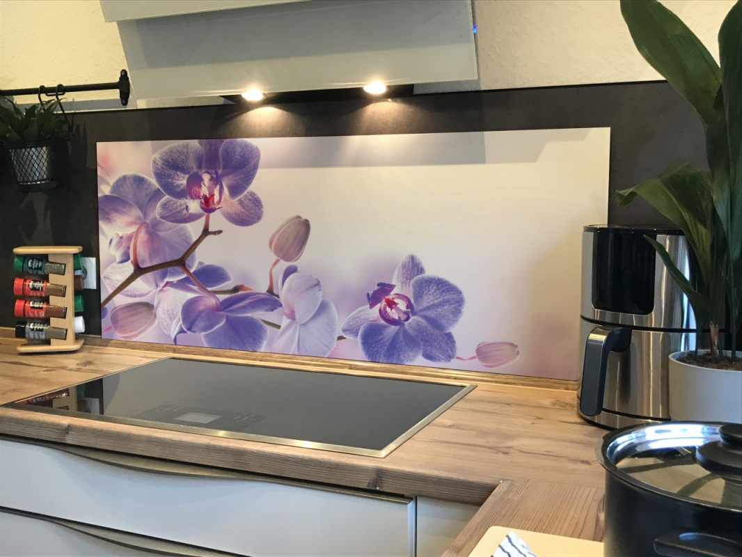 Spritzschutz Küche Hartschaumplatte Tropische Orchideen Spritzschutz Küche Hartschaumplatte Tropische Orchideen