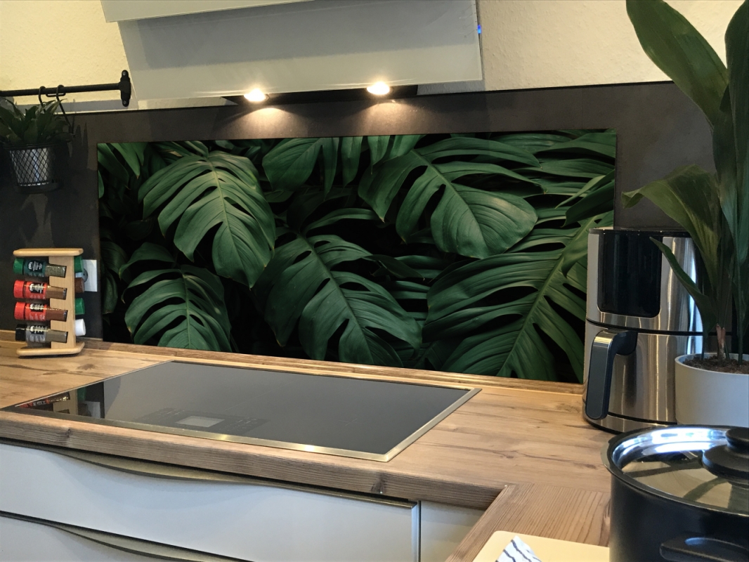 Spritzschutz Küche Aluverbund Monstera Blätter Spritzschutz Küche Aluverbund Monstera Blätter