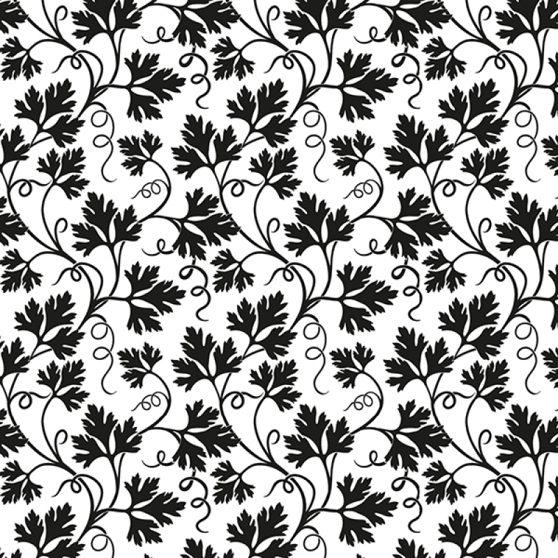 Spritzschutz Küche Acrylglas Petersilie Zeichnung Spritzschutz Küche Acrylglas Petersilie Zeichnung