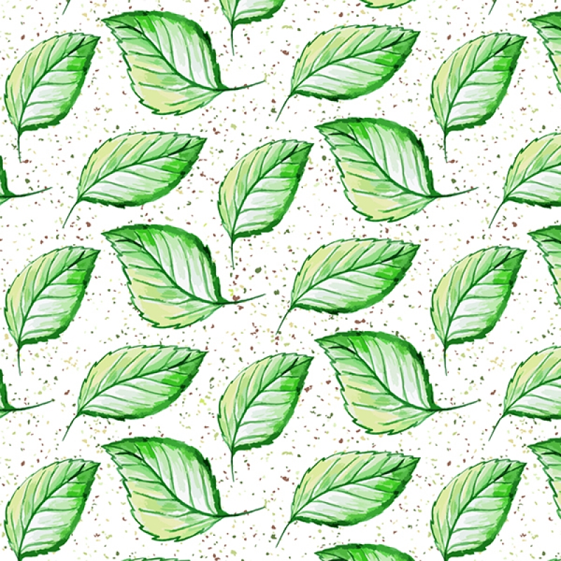Spritzschutz Küche Natur Grüne Blätter Spritzschutz Küche Natur Grüne Blätter