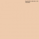 Küchenrückwand Hartschaumplatte Einfarbig Pfirsich