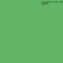 Küchenrückwand Hartschaumplatte Einfarbig Wiesengrün