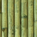 Küchenrückwand Acrylglas Bambus