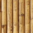 Küchenrückwand Acrylglas Bambusstangen