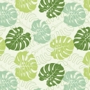 Küchenrückwand Hartschaumplatte Monstera