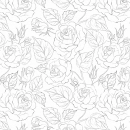 Küchenrückwand Hartschaumplatte Rosen Zeichnung