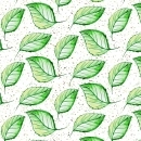 Küchenrückwand Hartschaumplatte Natur Grüne Blätter