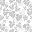 Küchenrückwand Hartschaumplatte Grau Monstera