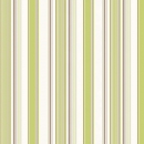 Küchenrückwand Grünfarbige Streifen