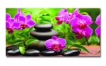 Spritzschutz Küche Hartschaumplatte Wellness Orchidee