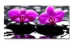 Spritzschutz Küche Hartschaumplatte Zen Steine Orchidee