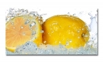 Spritzschutz Küche Hartschaumplatte Zitronen Wasser Splash