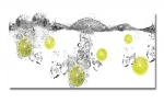Spritzschutz Küche Hartschaumplatte Limetten Wasser Splash