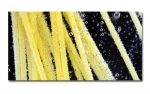 Spritzschutz Küche Hartschaumplatte Spaghetti unter Wasser
