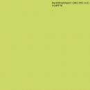 Spritzschutz Küche Acrylglas Einfarbig Gelbgrün