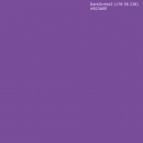 Spritzschutz Küche Einfarbig Orchidee Violett