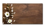 Spritzschutz Küche Acrylglas Holzoptik